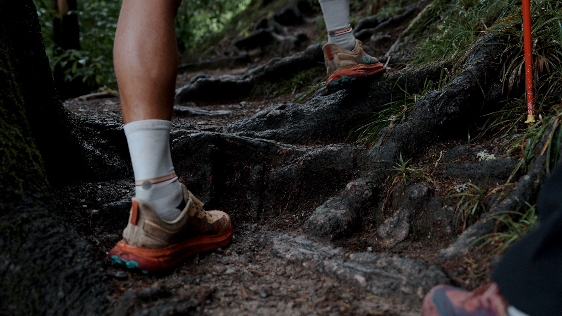 Trail Aurore & Coucher de Soleil